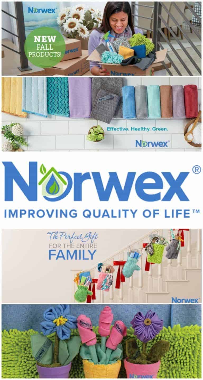 Norwex Business Opportunity